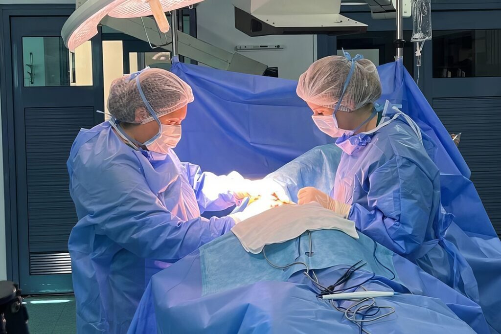 Klinik uygulama, Rusya’daki tıp öğrencileri için: Türkiye’den öğrenciler için fırsatlar
